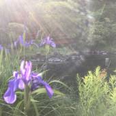 赤松院（和歌山県 旅館） / 2