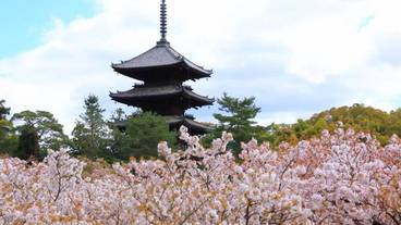 観光スポット / 10