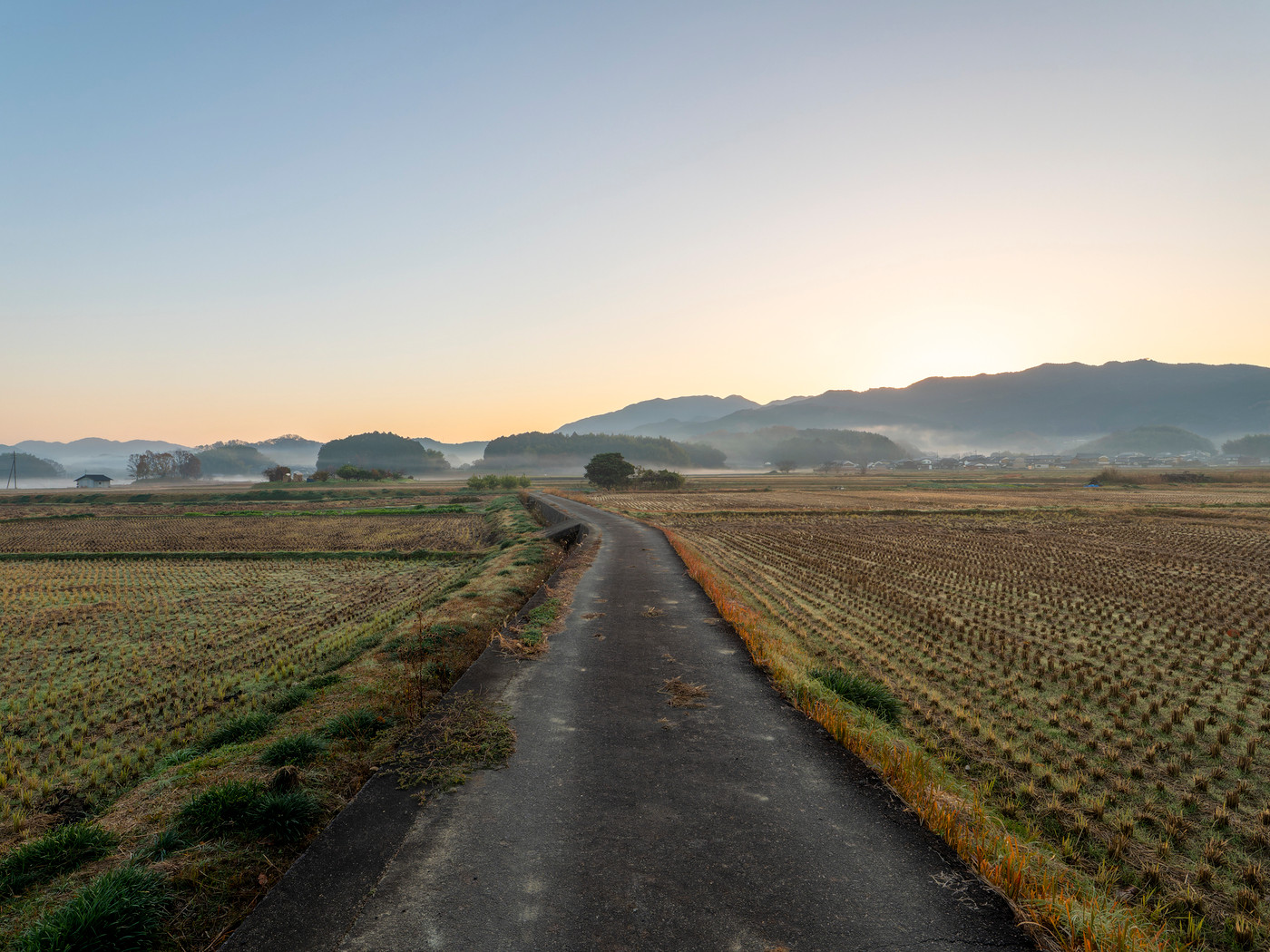 朝霧が漂う明日香村の田園風景