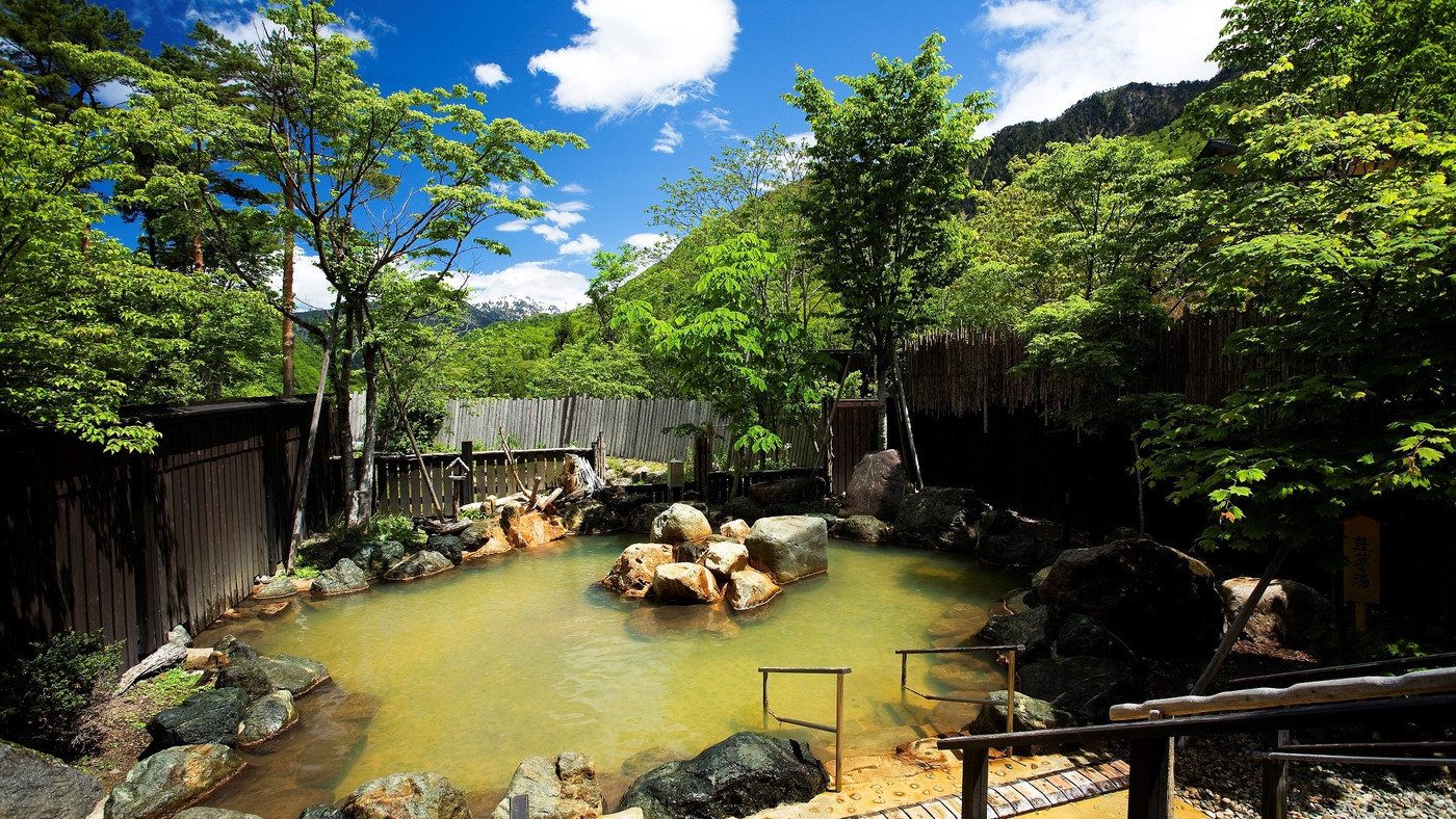 奥飛騨温泉郷 平湯 匠の宿 深山桜庵3929937