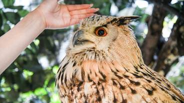 子供向けアクティビティ / 2