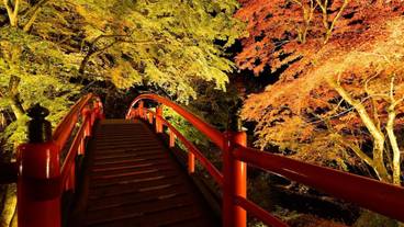 施設の敷地 / 21