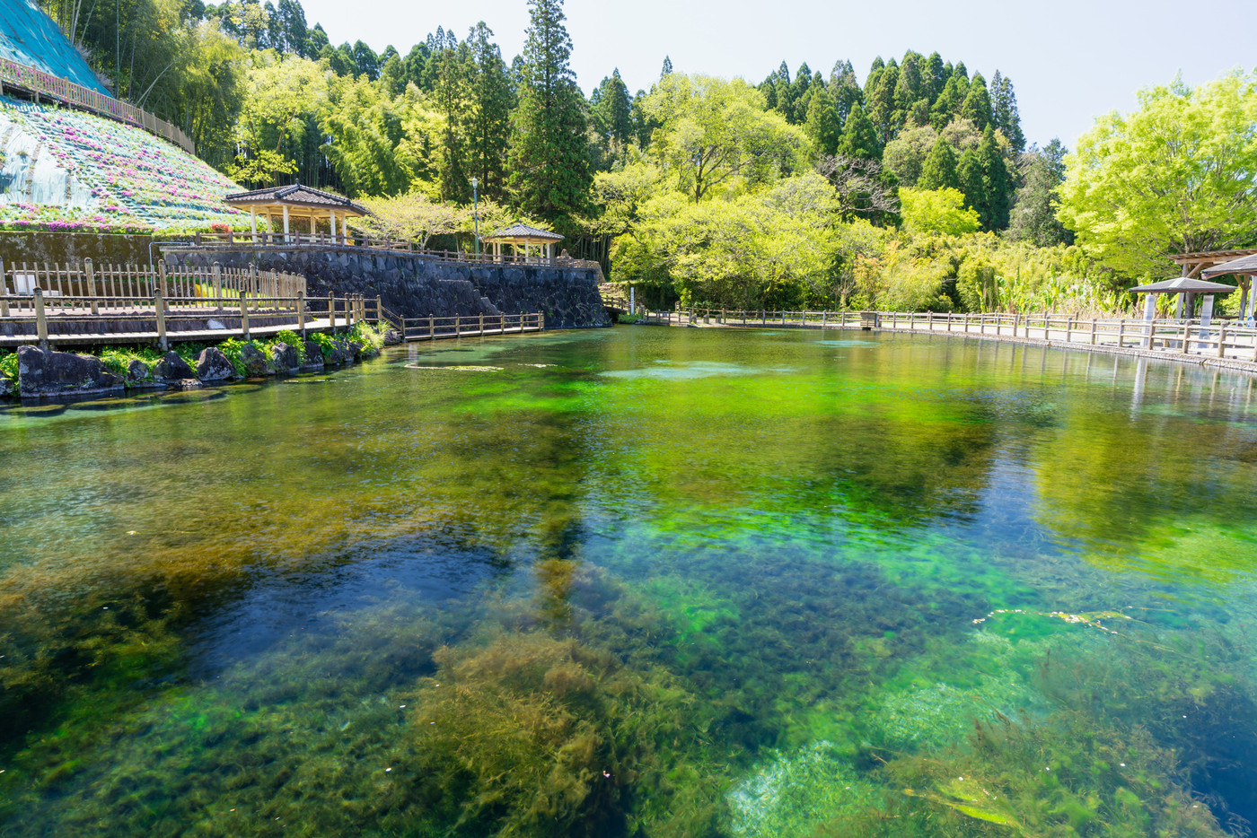 《鹿児島県》霧島山麓丸池湧水