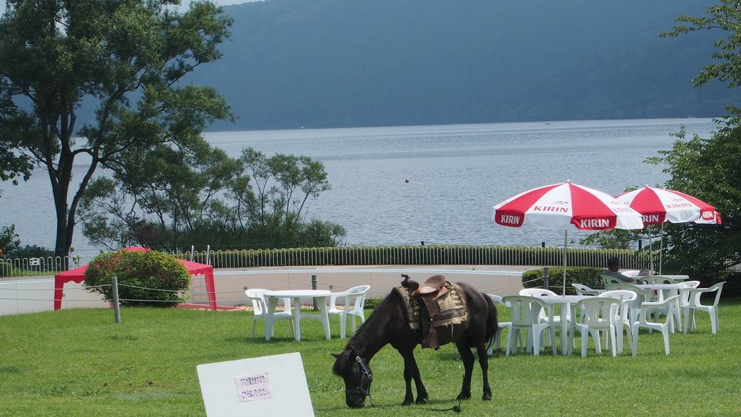 ふれあいどうぶつランド / 3