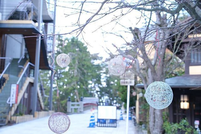 zunko0306さんの写真 / 4