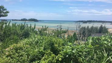 施設からの眺望 / 11