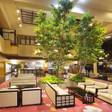 夕凪の湯 HOTEL 花樹海