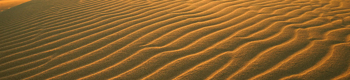 鳥取のお安い旅館に泊まる♪鳥取駅・鳥取空港の周辺のおすすめ宿6選