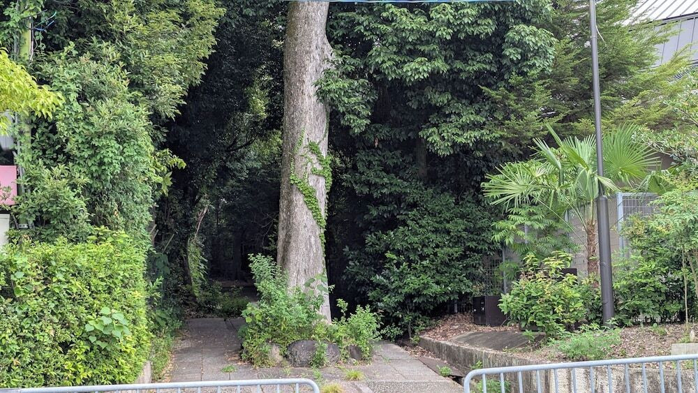 施設からの眺望