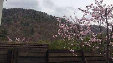 マウンテン ビュー / 10