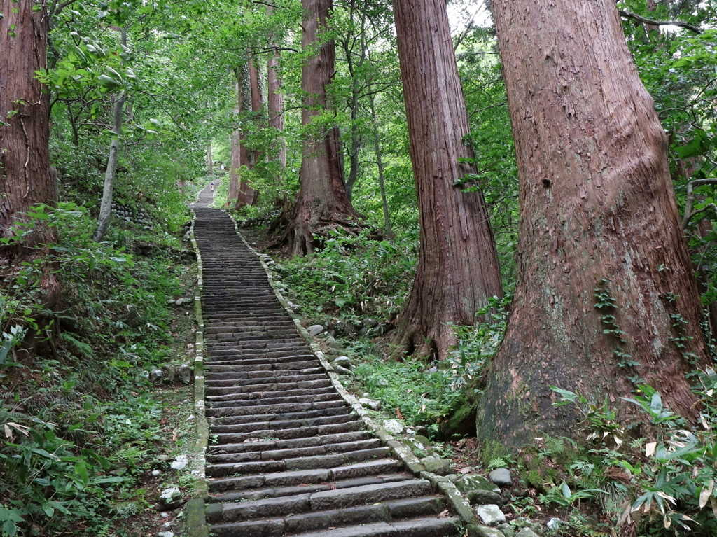 17. 出羽三山神社（鶴岡市）2136699