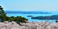 【日本三景】絶景を堪能する観光スポット、宮城の「松島」を満喫