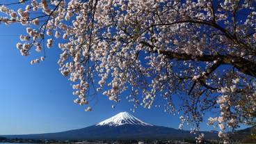 施設からの眺望 / 4