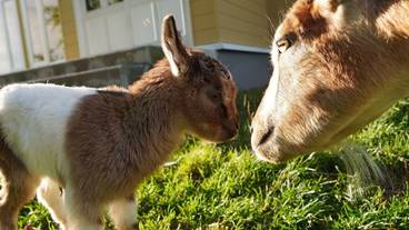 施設の敷地 / 12