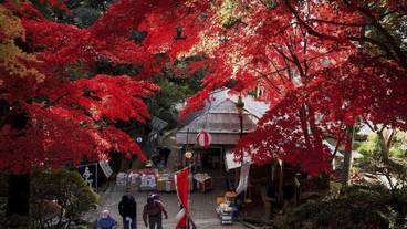 観光スポット / 18