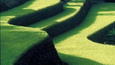 シティ ビュー / 15