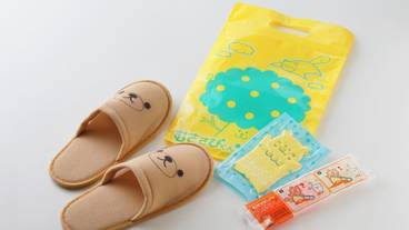 客室の設備とサービス / 31