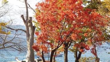 施設の敷地 / 36