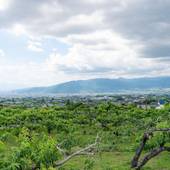 Tabist ホテル虹 笛吹御坂(山梨県 アパートメント) / 5