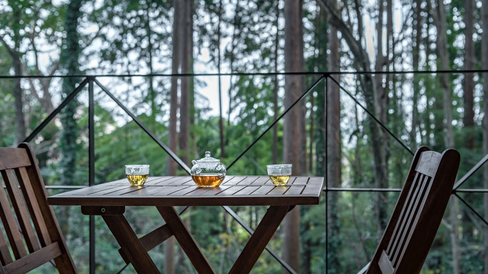 花の雲【静岡県】4244136