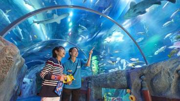 子供向けアクティビティ / 19