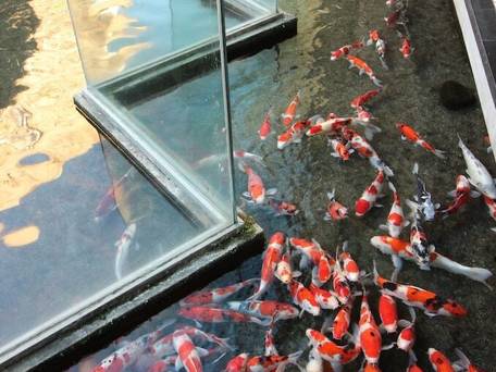 石和温泉 美と健康と癒しの宿 ホテル八田 / 2