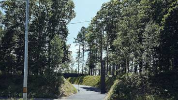 施設の敷地 / 13