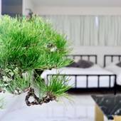 THE ROOT2 HOTEL（京都府 ビジネスホテル） / 2