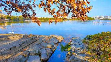 ランド ビュー / 12