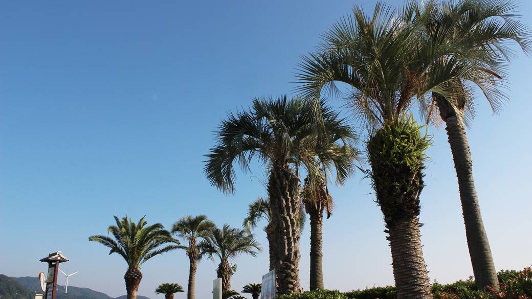 阿万海岸海水浴場 / 3