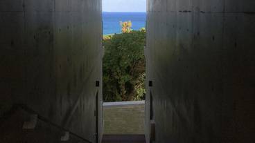 ビーチ / オーシャン ビュー / 10