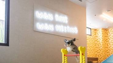 ペット用設備・サービス / 3