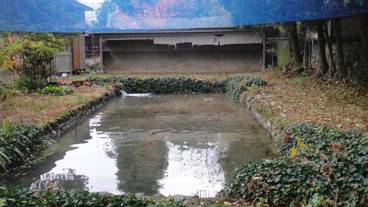 施設の敷地 / 14