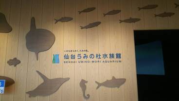 観光スポット / 14