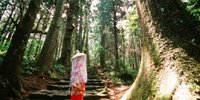 【和歌山】南紀勝浦へ癒やしたっぷりグルメ女子旅♪おすすめスポット17選