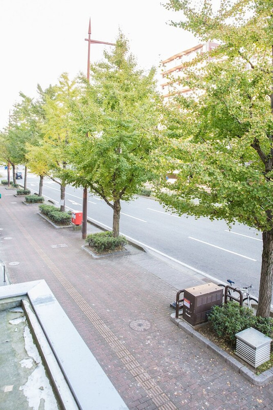 部屋からの景観