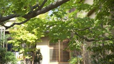 施設からの眺望 / 13