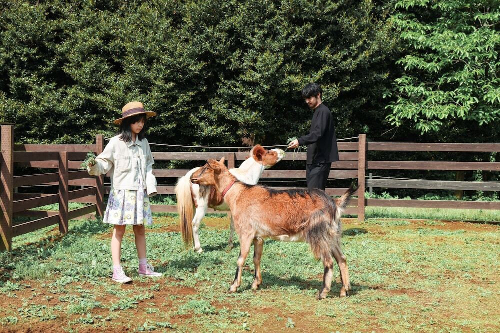 子供用の遊び場 - 屋外