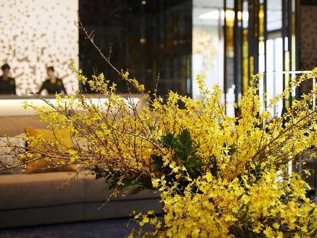 ヴィラフォンテーヌプレミア羽田空港 / 2