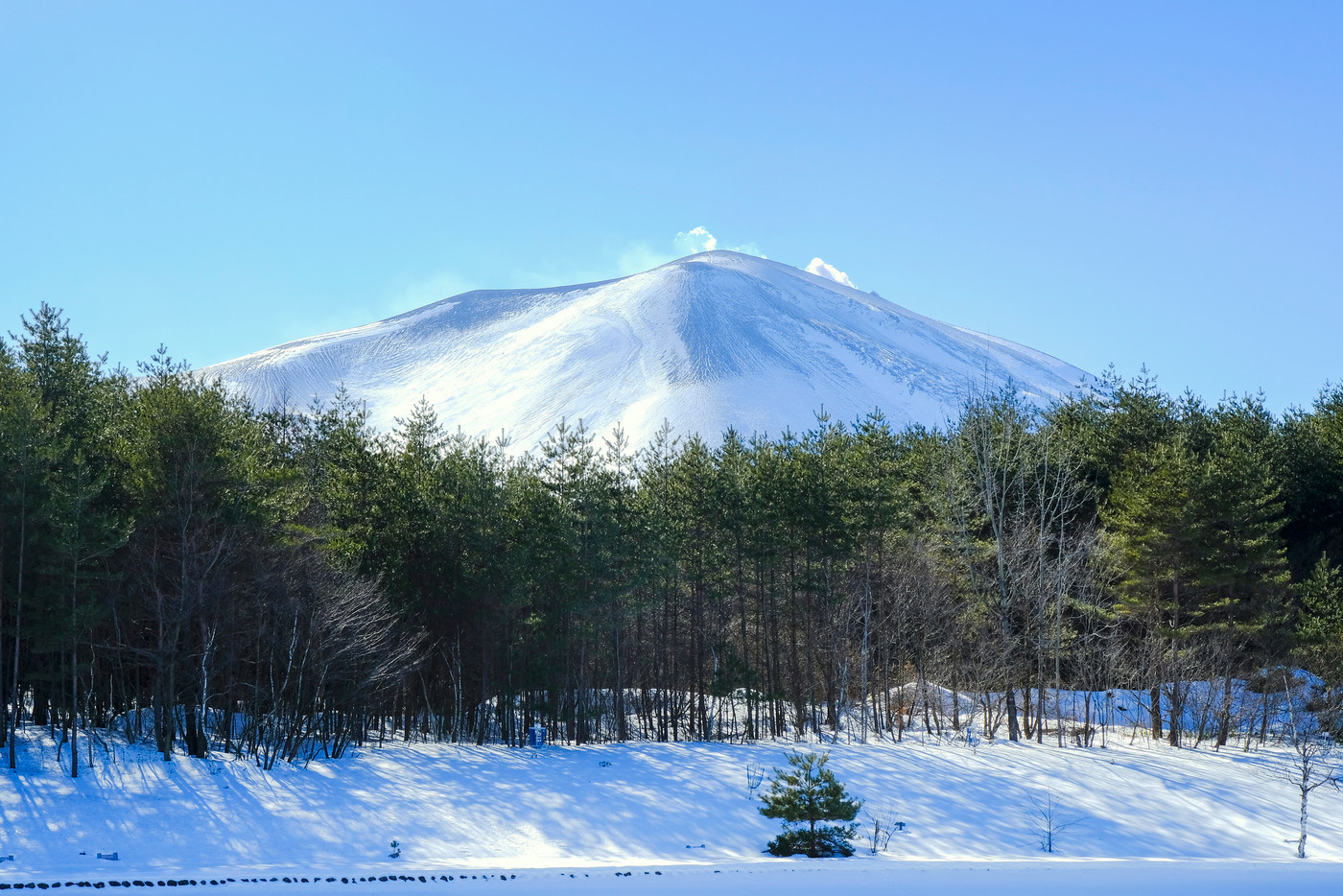噴煙あげる雪の浅間山