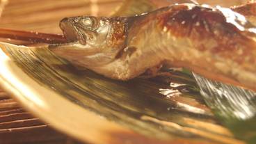 食事・飲み物 / 1