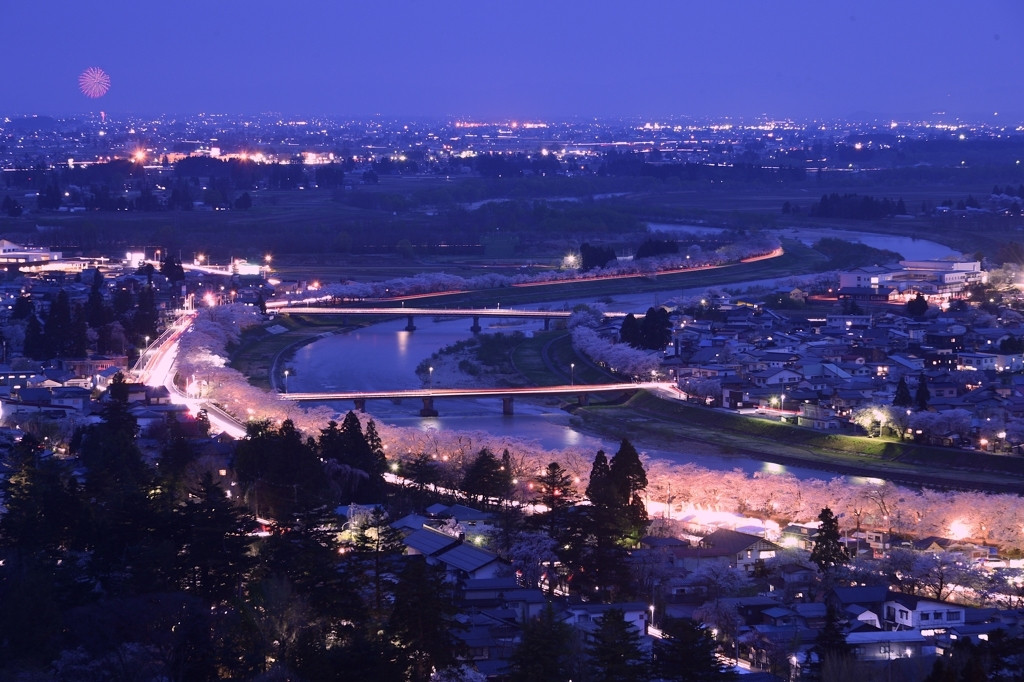 宿泊で幻想的な夜桜まで楽しもう！3439648