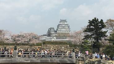 観光スポット / 5