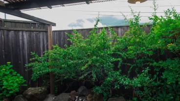 マウンテン ビュー / 18