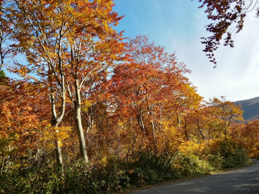 ホテルの前は素晴らしい紅葉の景色が