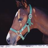 ホテル アネックス イン（北海道 ビジネスホテル） / 5