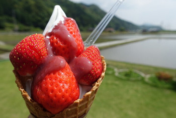 「あさむらいちご園」料理 847245