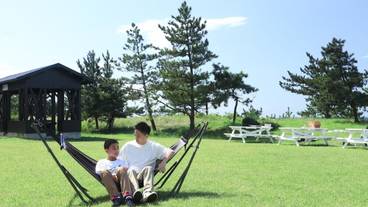 施設の敷地 / 23