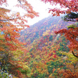 【栃木】燃えるような紅葉が見たい！「紅葉絶景スポット」5選