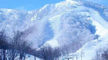 スキー ヒル / 2